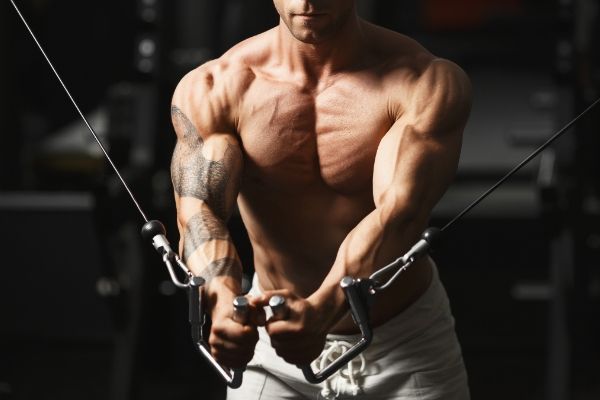 Camilla Telles CONSULTORIA FITNESS ONLINE
